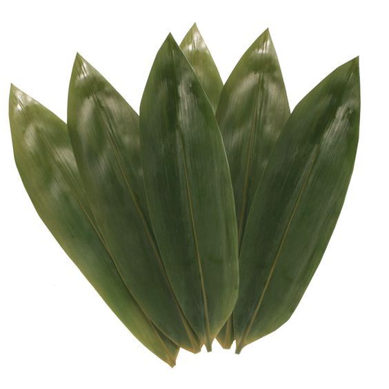 

10 Lembar Daun Bambu Fresh