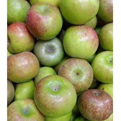 APEL MALANG 1KG/BUAH APEL MALANG FRESH