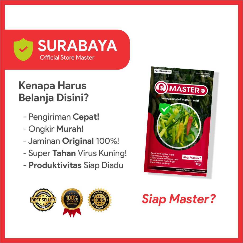 Benih Bibit Cabe Rawit - MASTER - 1750 butir - SURABAYA