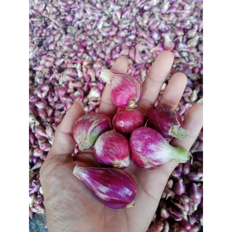 

Bawang merah Brebes 500gr