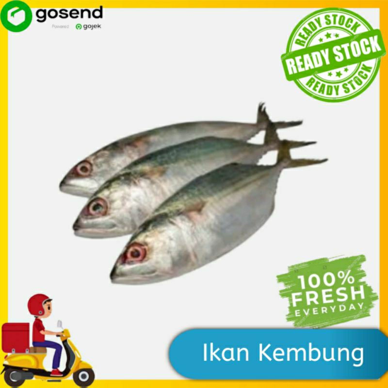 

Ikan kembung - ikan segar - sayur segar