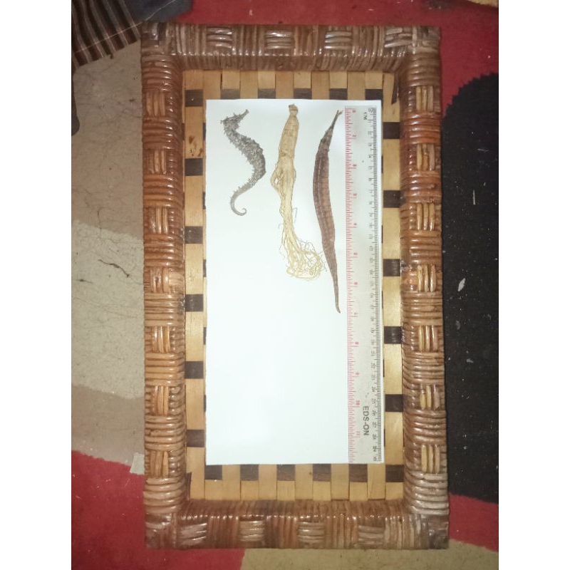 

Ramuan 3 macam Akar Ginseng Changbai Plus UTUH bukan ANAK Ginseng