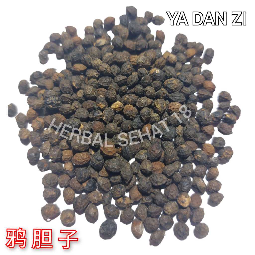

600 gram - Ya Dan Zi 鸦胆子 Brucea Javanica / Buah Uni