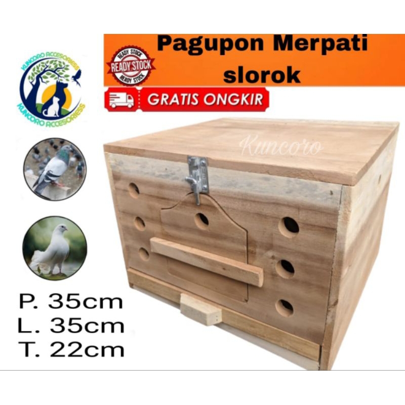 Pagupon // Kandang Burung Merpati Kolong Balap Model Slorok Kotoran