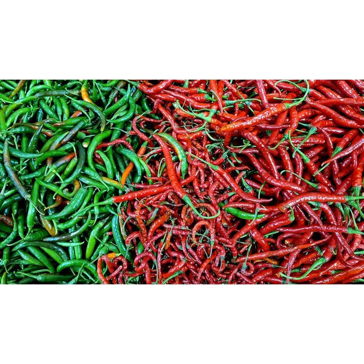 

cabe keriting hijau 100gr