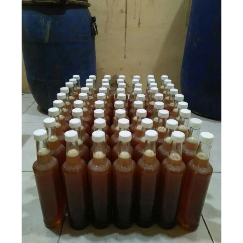 

MADU KLANCENG MURNI/TRIGONABEE