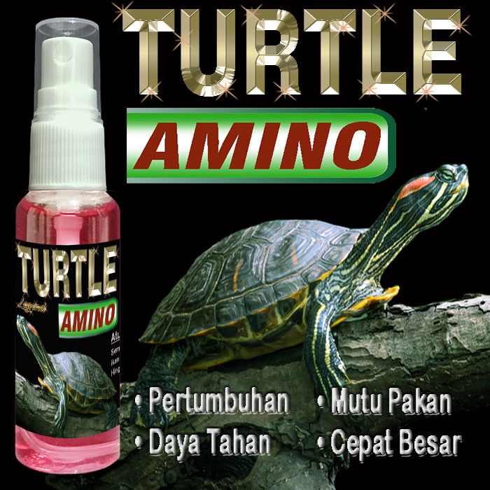 TURTLE AMINO SUPLEMEN FOOD VITAMIN PERTUMBUHAN REPTILE KURA-KURA AIR AMBON BRAZIL RES CST AST KURA L