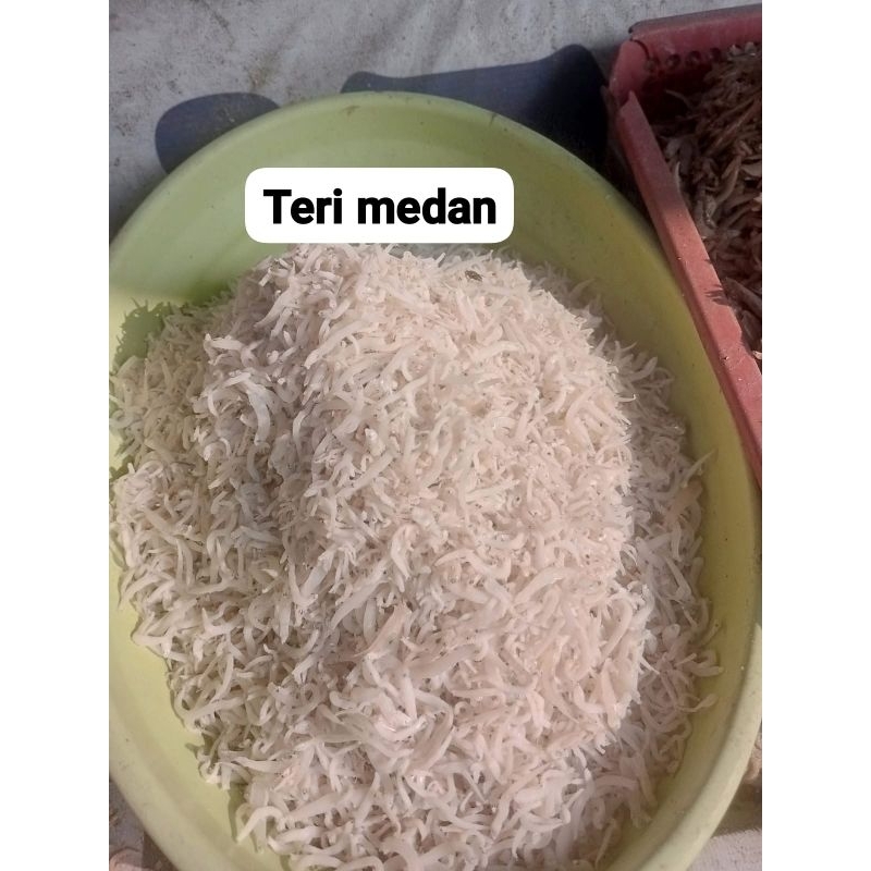 

teri medan