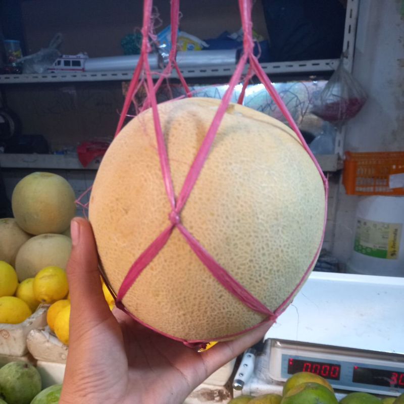 

Melon