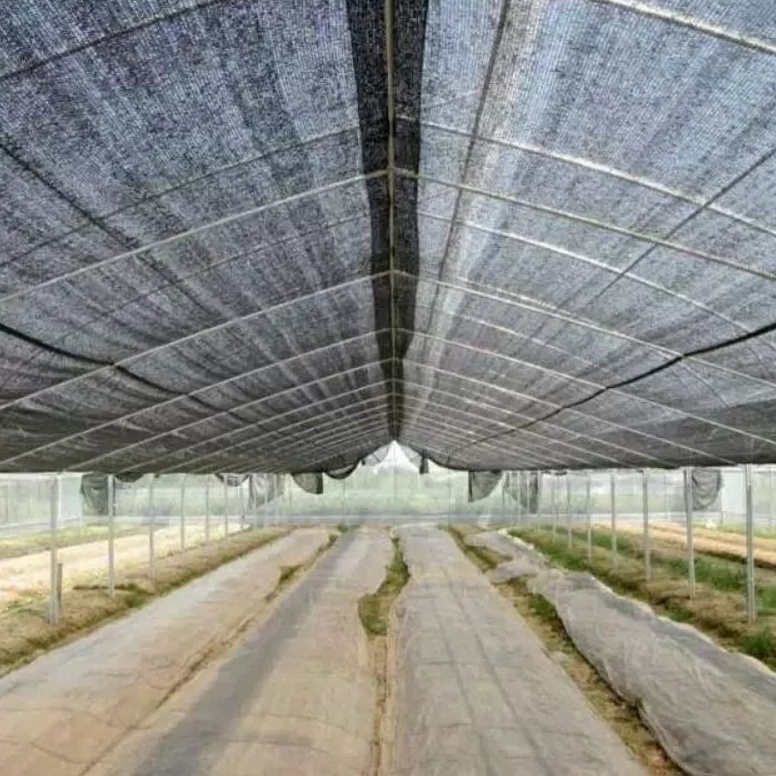 Yang Terbaik Paranet 75 Panjang 1 Meter x Lebar 3 Meter Jaring waring paranet