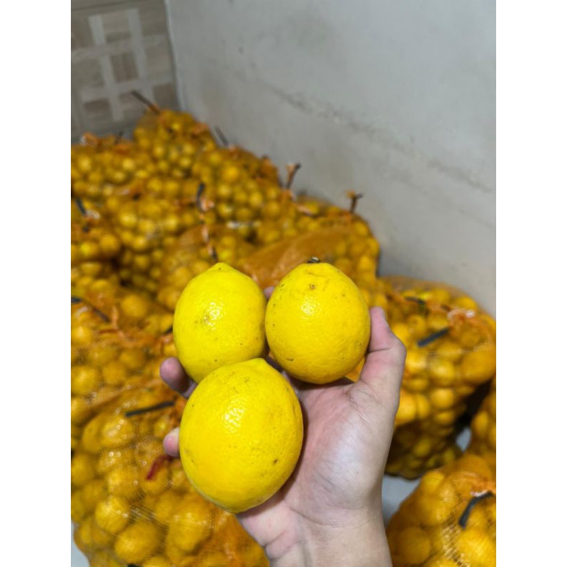 

Jeruk California 500 gram