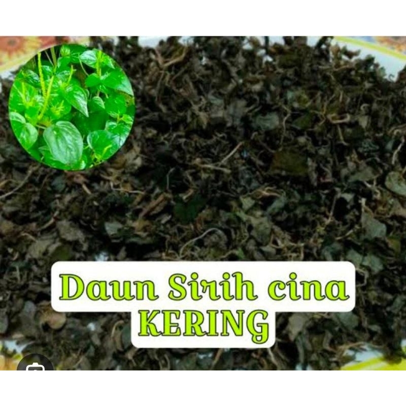 

Teh Herbal Daun Sirih Kering 50 Gram Murah Premium