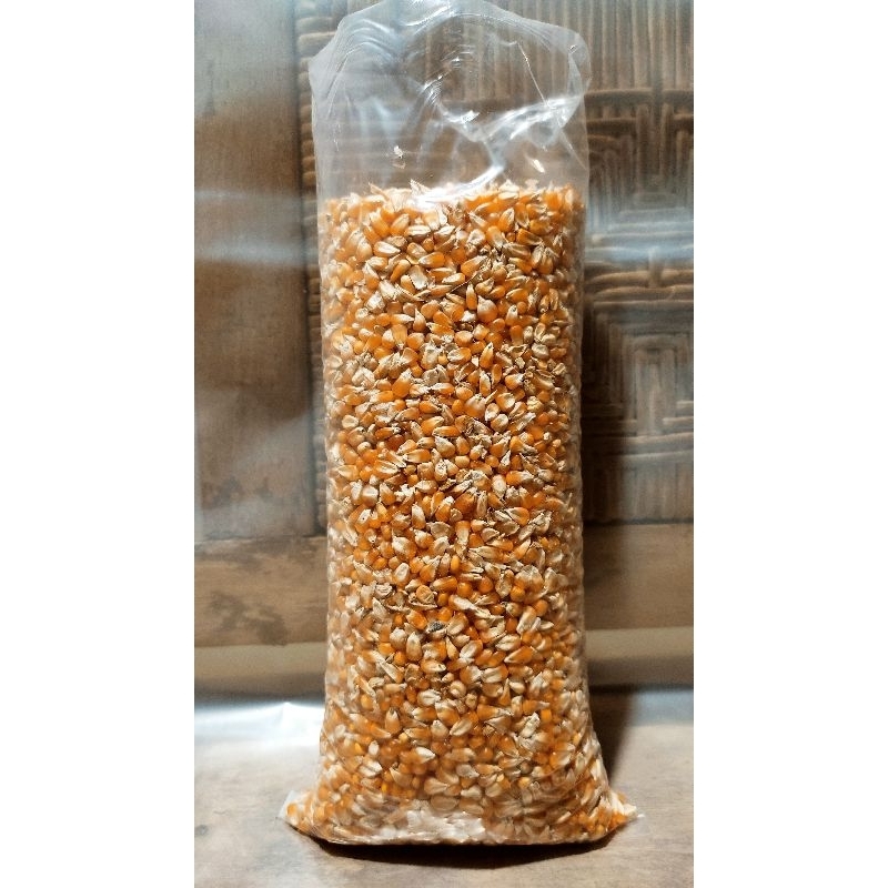 

JAGUNG KRISTAL