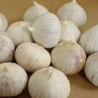 

Bawang Tunggal | Bawang Lanang | Bawang Lanang 100grJumbo | Bawang Lanang Import Kemasan 100gr