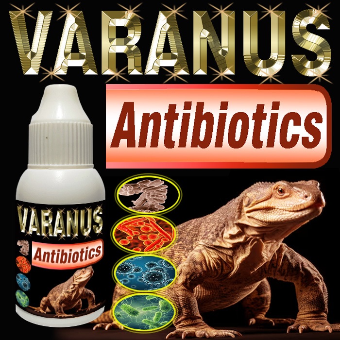 VARANUS ANTIBIOTIK VITAMIN REPTILE SUPLEMEN OBAT PENYAKIT PERNAPASAN PILEK PNEUMONIA HEWAN VARANNUS 