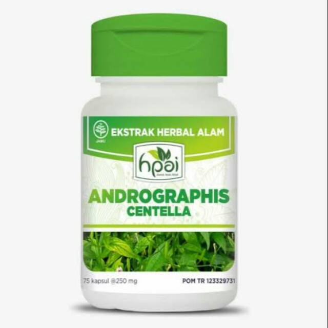 ANDROGRAFIS CENTELLA 100% Garansi Asli Produk HNI HPAI