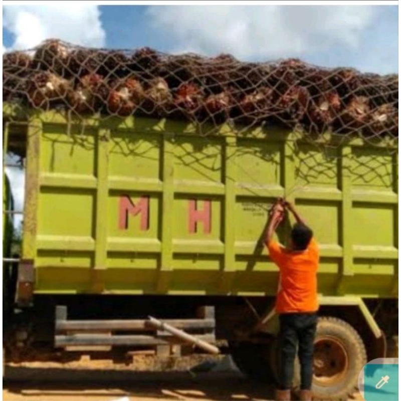 jaring truk sawit 4m x 6m tali 6mm lubang 15cm x 15cm tutup truk sawit cargo