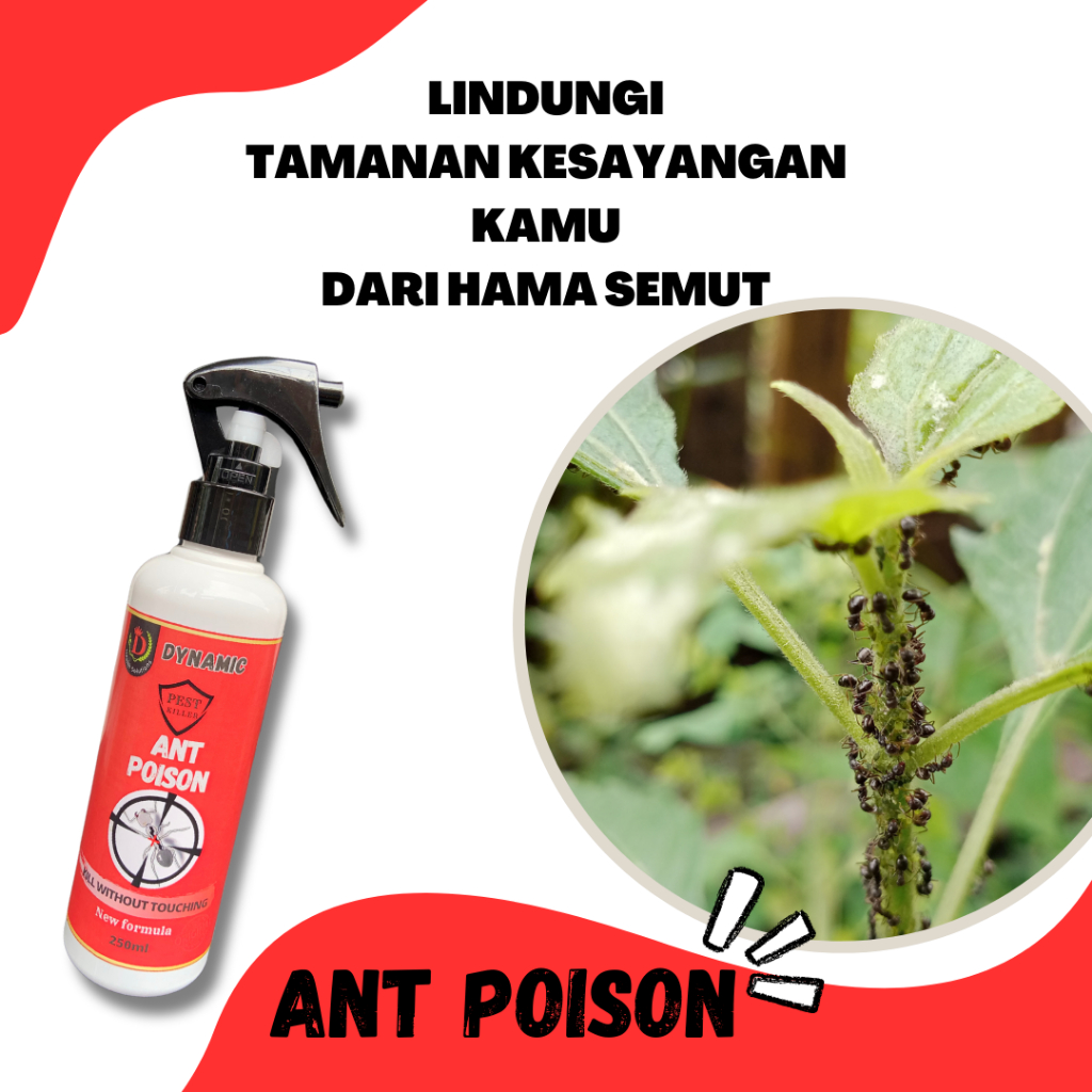 Obat Pembasmi Semut Pada Tanaman