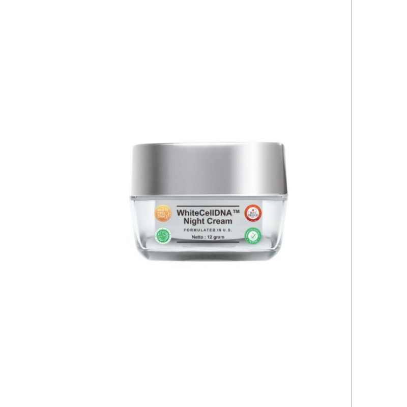 MS Glow WhiteCellDNA™ Night Cream // cream malam ms glow cellDNA