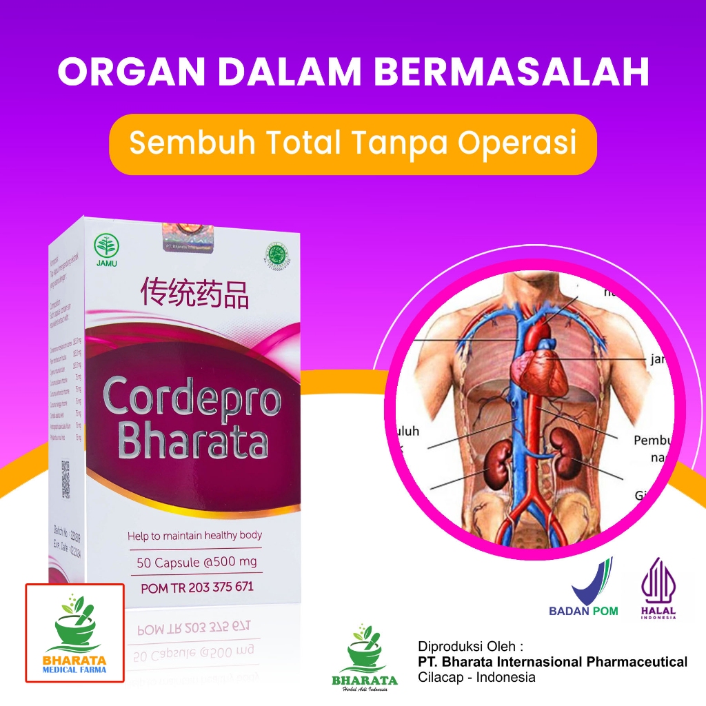 Obat Herbal Cordepro Bharata - Obat Penyakit Paru-Paru