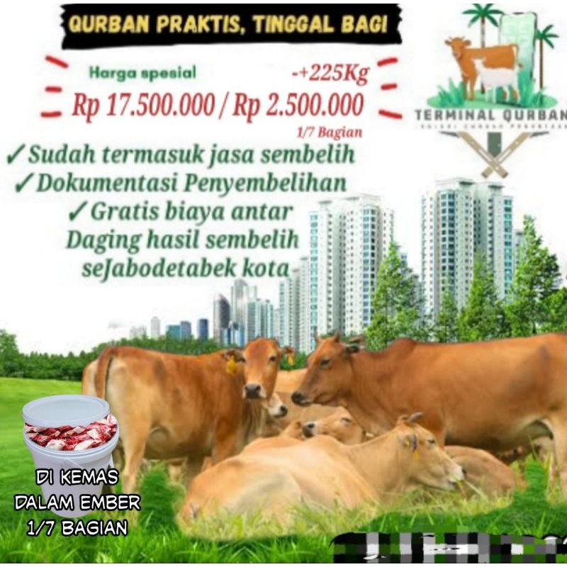 Promo Terminal Qurban Bilik Bambu " Sapi Tipe A Kolektif 1/7 Bagian"