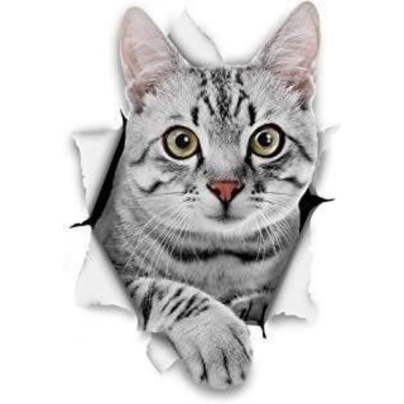 

stiker gambar kucing 3d size 15x20 cm