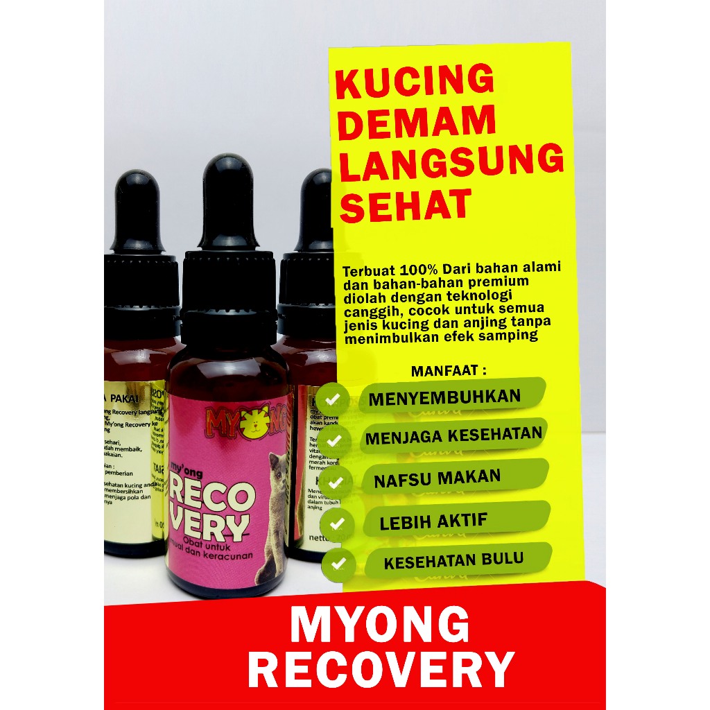 OBAT KUCING MY'ONG RECOVERY ANTI MUNTAH OBAT KUCING SAKIT KERACUNAN MENCRET INFEKSI PENCERNAAN OBAT 