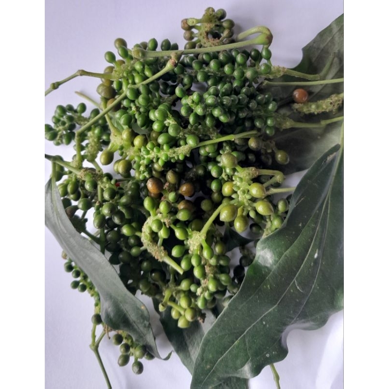 

jual buah kemukus/ lada hutan