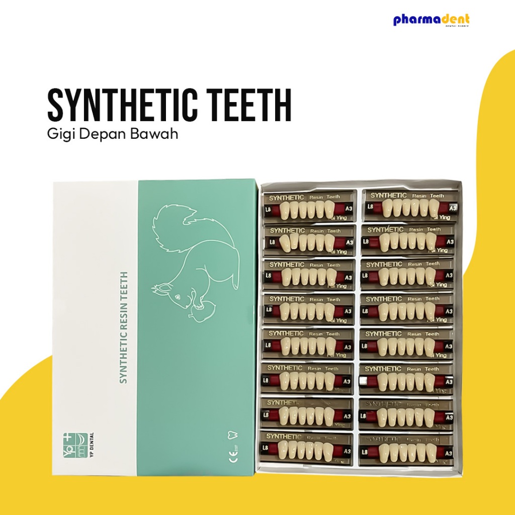 Pharmadent - Gigi Sintesis/Synthetic Teeth YP Dental Depan Bawah 1 Box