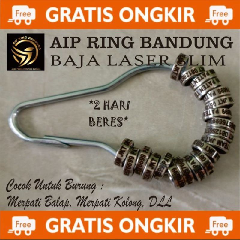 RING MERPATI DARA BAJA LASER SLIM PENDAMPING