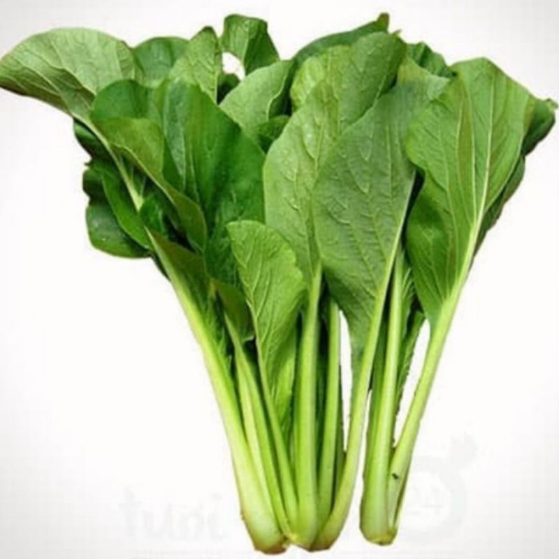 

sayur sawi hijau/ ikat