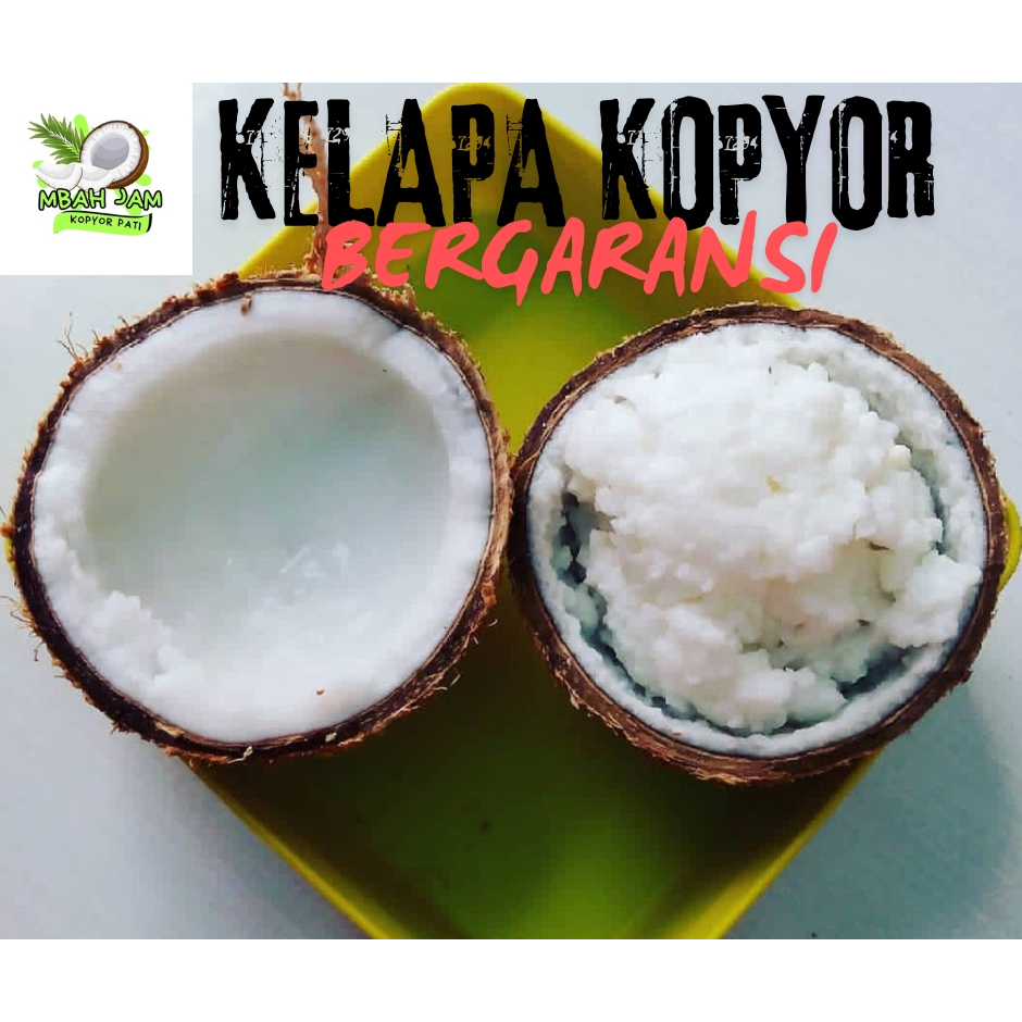 

kelapa Kopyor jumbo