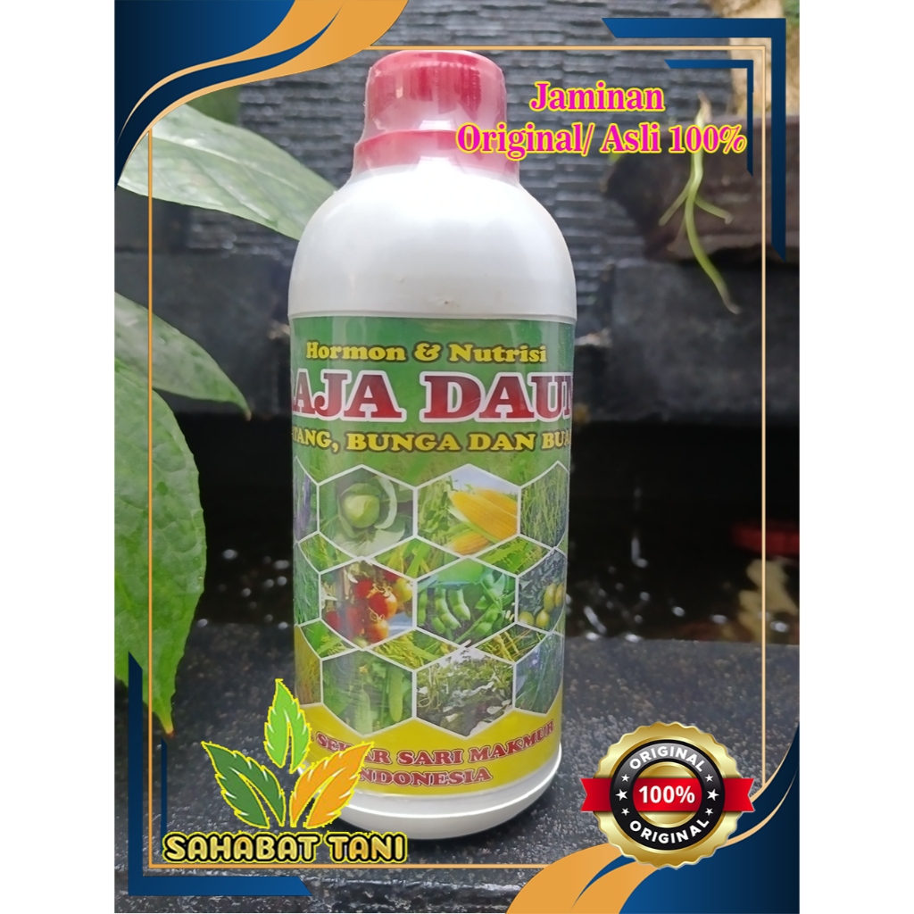 HORMON DAN NUTRISI RAJA DAUN 500 ML - NPK CAIR BATANG, BUNGA, BUAH