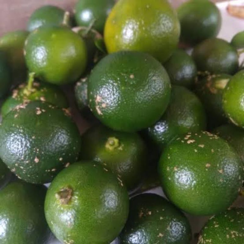 

jeruk sambel 1 ikat