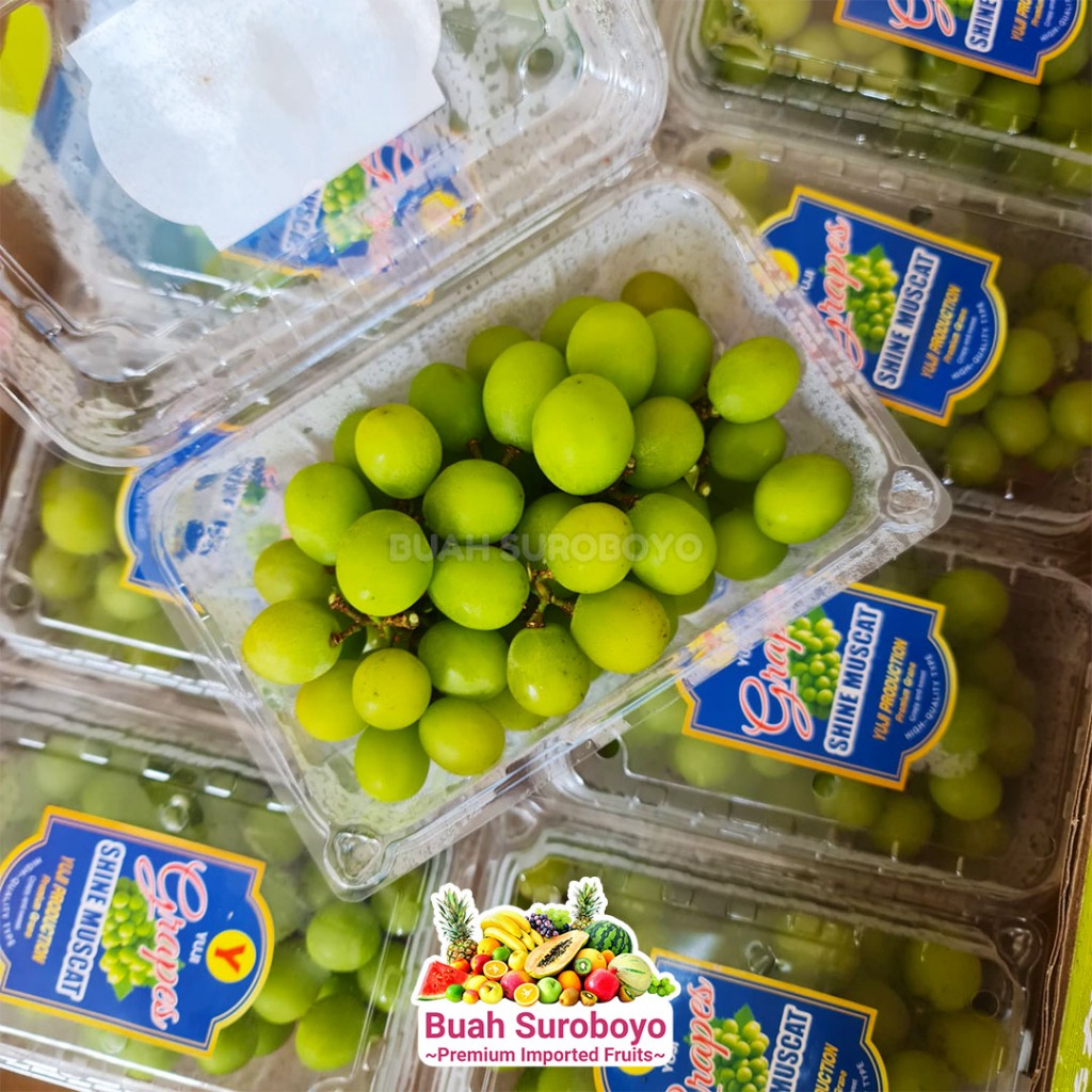 

Anggur Shine Muscat Hijau (Tanpa Biji) Pack