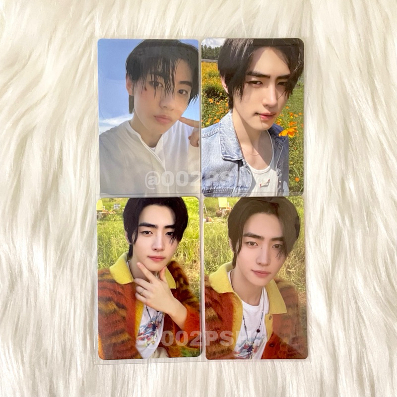 [READY] PHOTOCARD ENHYPEN SUNGHOON TUSPOUT ODY ESSE