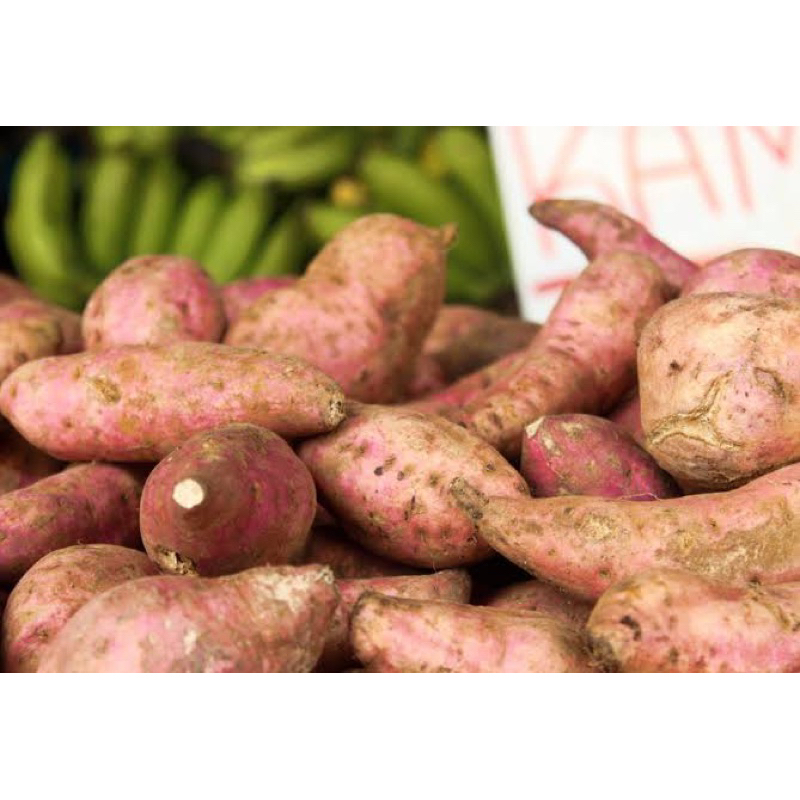 

Ubi Jalar 500 gram/ Sayur Ta Makassar