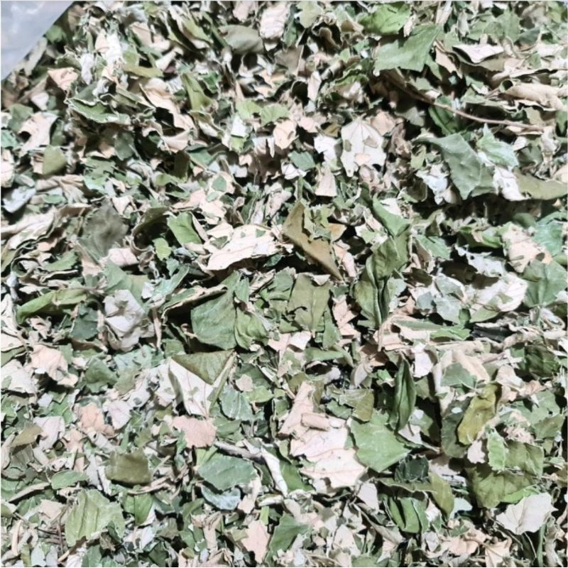 

Daun Bidara Kering 50 Gram Rempah Alami