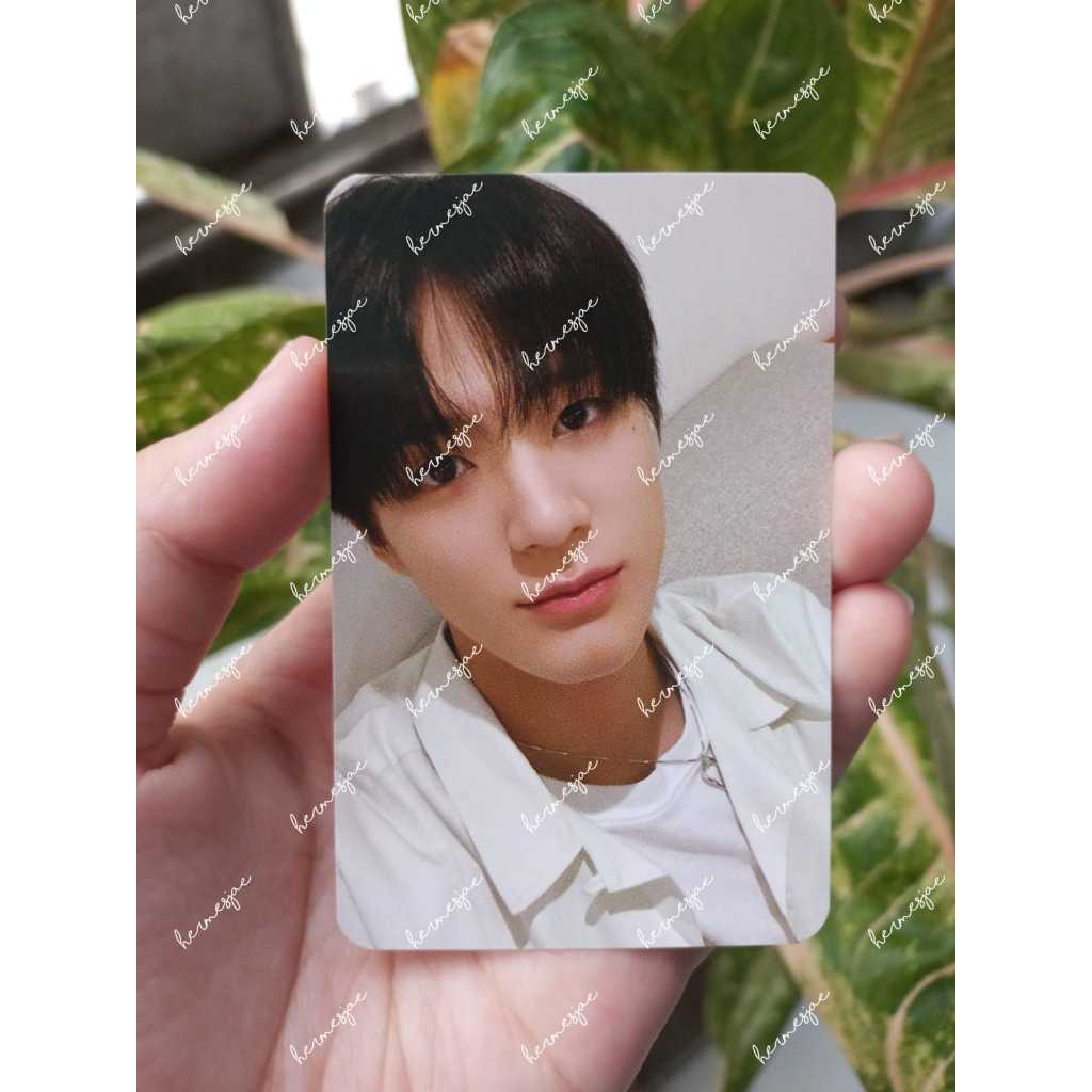 JENO SELCA PHOTOPACK NCT DREAM SEASON GREETINGS 2022 SG22
