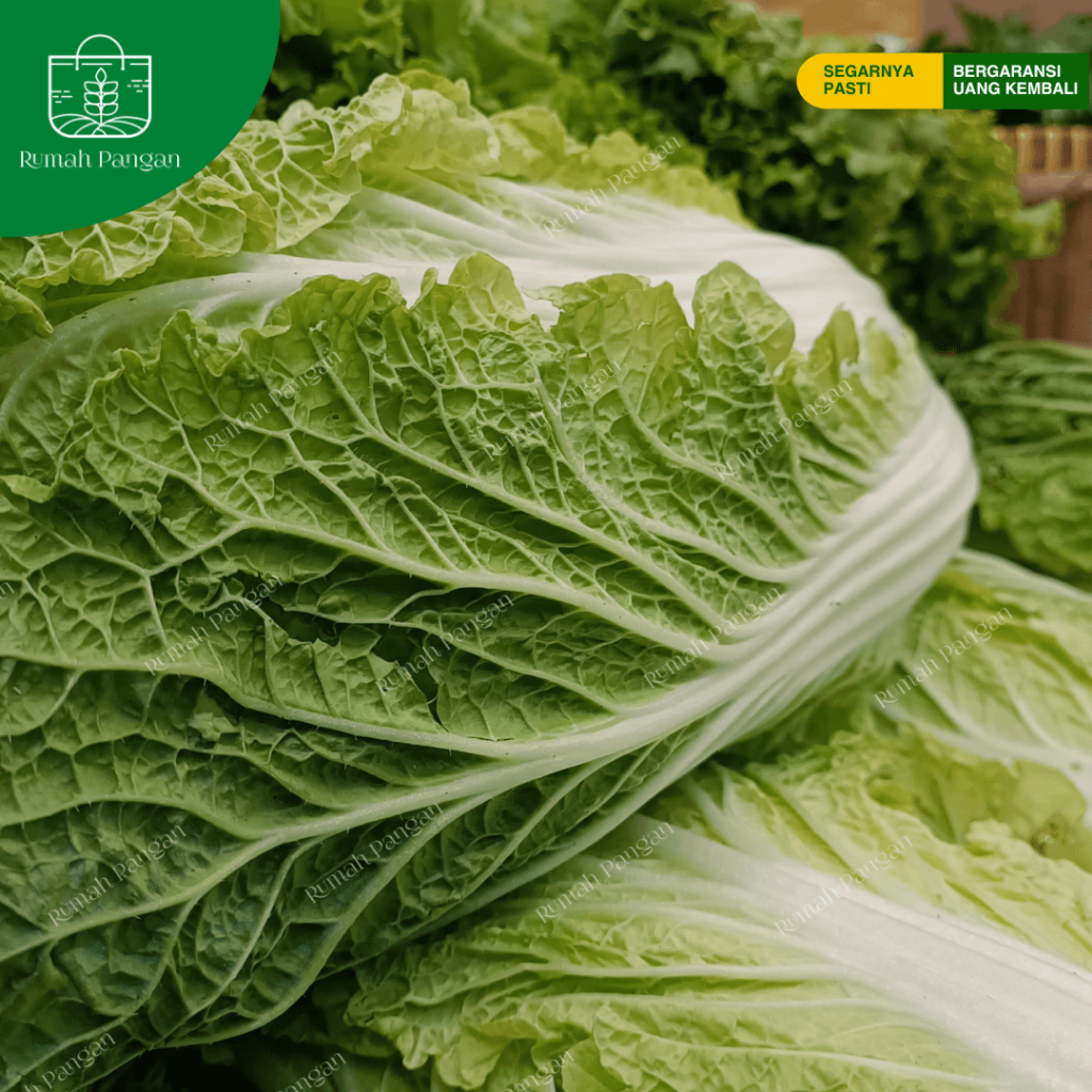 

Sawi Putih - 500 gram