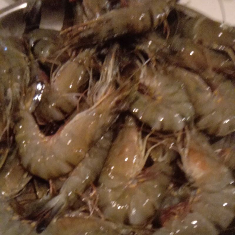 

udang fancet segar
