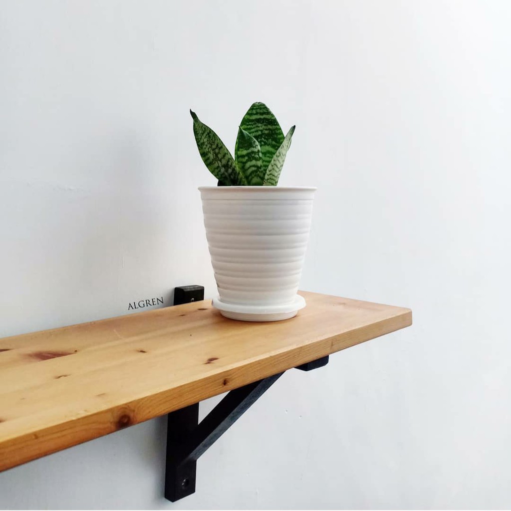 Alas Pot D10 cm | Alas Pot Mini | Tatakan Pot Bunga | Tray