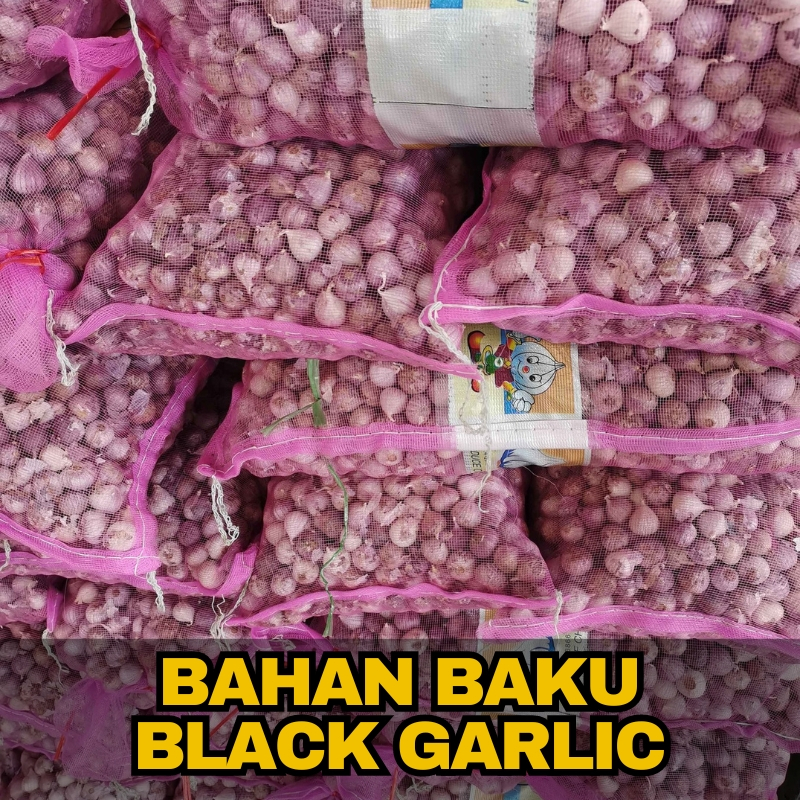 

Bawang Putih Tunggal Lanang Kualitas Super Import Fresh Bahan Baku Black Garlic