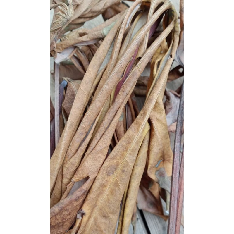 

DAUN SINGKONG KERING 200GRAM