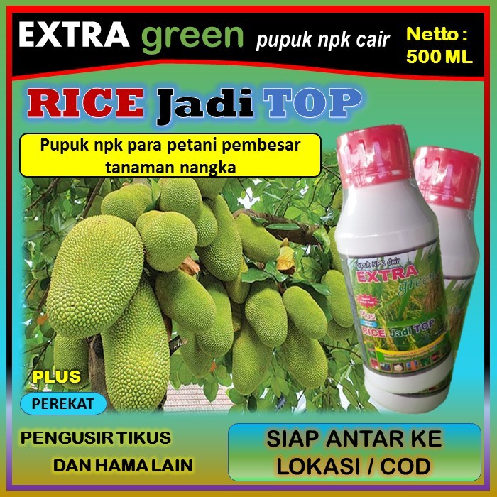 Pupuk tanaman nangka npk cair lengkap ( EKTRA GREEN RICE jadi TOP ) 500 ml - pupuk pembesar tanaman 