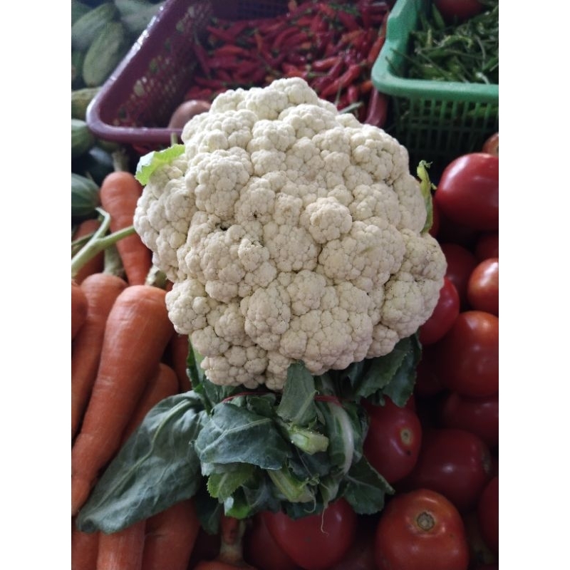 

Bunga Kol / Kembang Kol 500gr | Pasar Induk Pekanbaru #Harga_Grosir