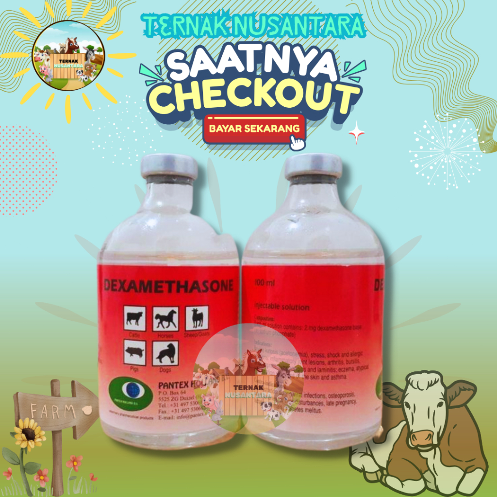 DEXAMETHASONE 100 ML PANTEX  HOLLAND - DEXAMETHASON PANTEX ANTI RADANG UNTUK SAPI