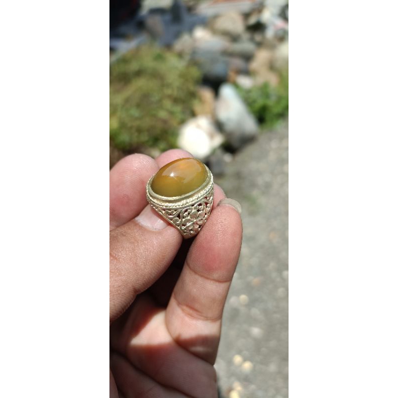 CINCIN IDOCRASE BIOSOLAR SUPER