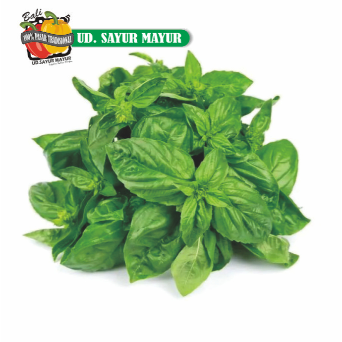 

daun basil 500 gram