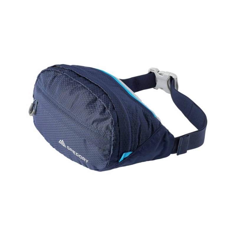 Gregory nano waistpack 3,5L tas Gregory nano waistpack 3.5L Gregory nano waistpack original